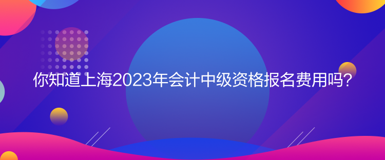 你知道上海2023年会计中级资格报名费用吗？
