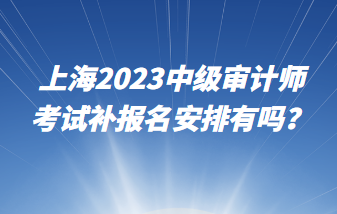 上海2023中级审计师考试补报名安排有吗？