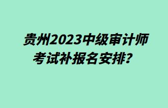 贵州2023中级审计师考试补报名安排？