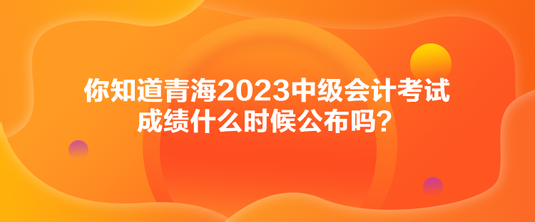 你知道青海2023中级会计考试成绩什么时候公布吗？
